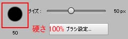 ブラシの硬さ 100%